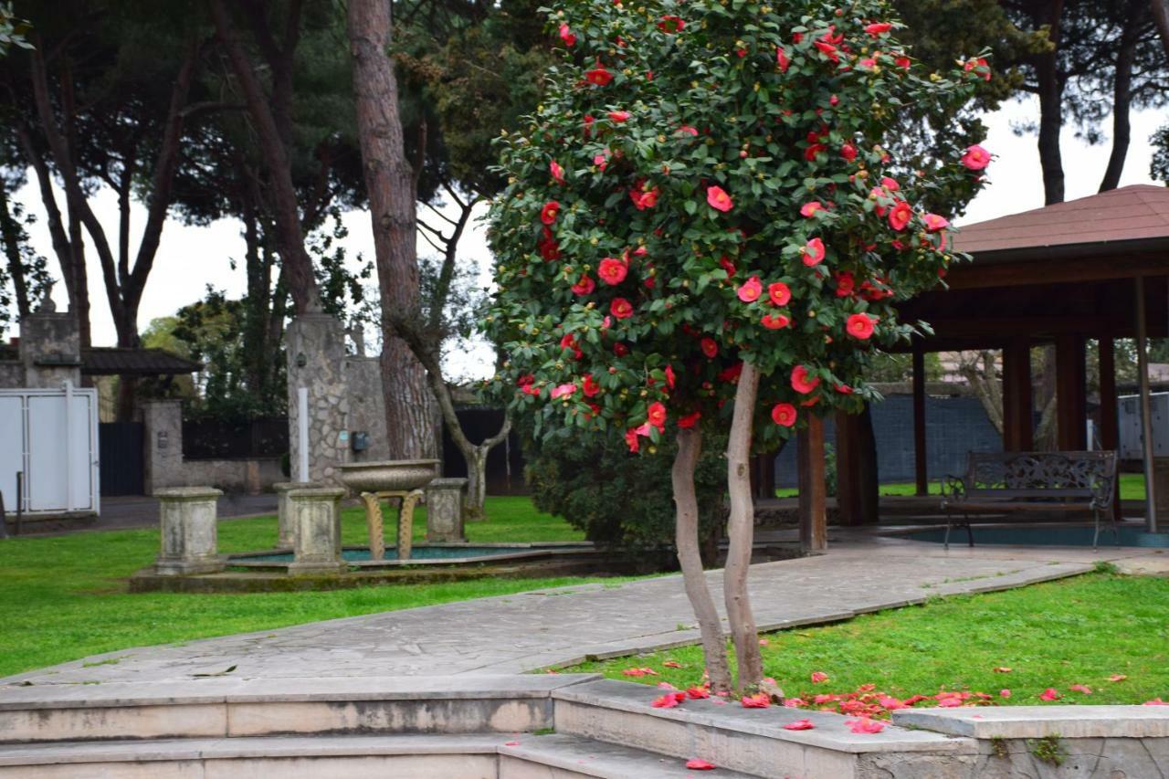 Mancini Park Hotel Rome Extérieur photo